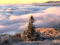 one winter tress 3