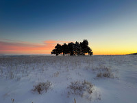 frozen roan sunrise