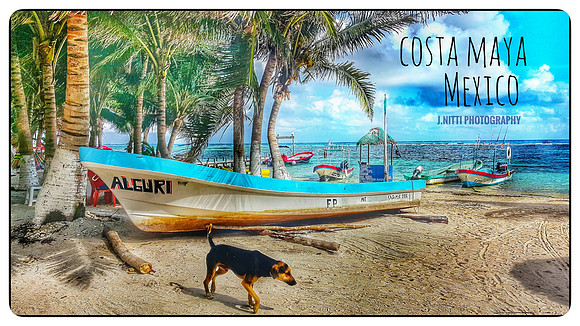AB5AFF7B-3821-4A43-99C0-9AA02605487F