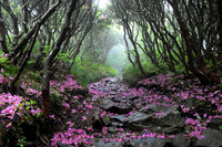 New All Photographs-photos
